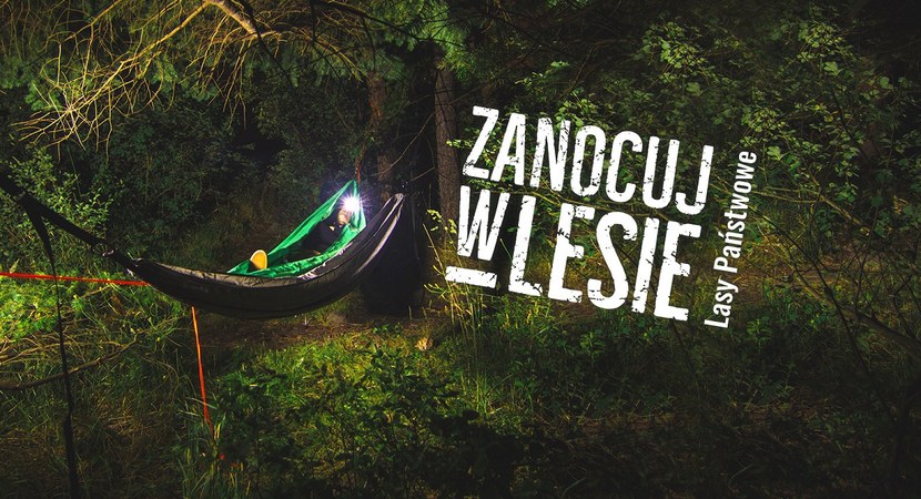 Zanocuj w lesie!