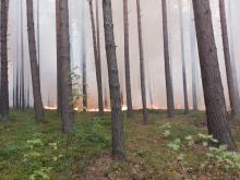 Ochrona przeciwpożarowa lasu na terenie RDLP – podsumowanie akcji bezpośredniej