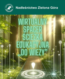 Wirtualny spacer ścieżką przyrodniczo-leśną ,,Do wieży"